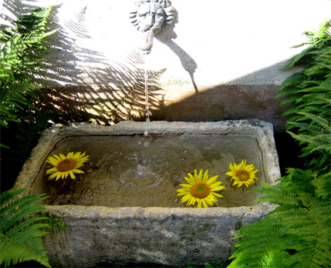 Css Template Preview